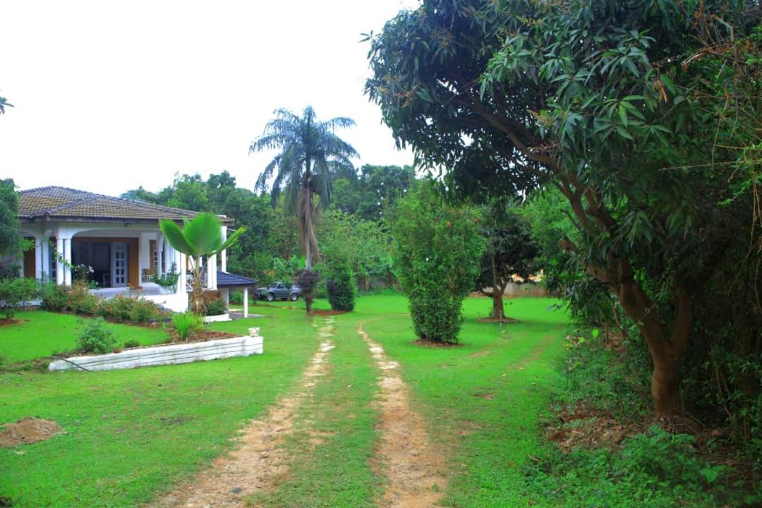 Egg Botanical View Motel Entebbe Eksteriør billede