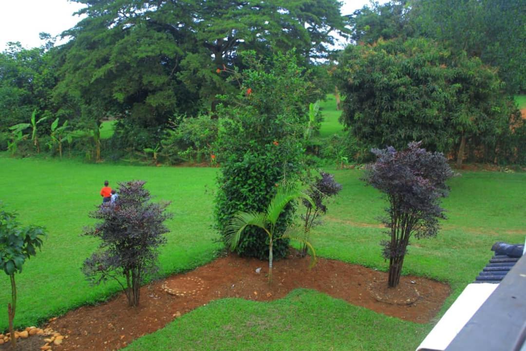 Egg Botanical View Motel Entebbe Eksteriør billede